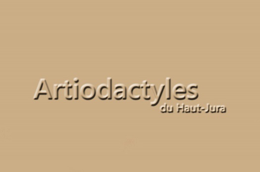 Artiodactyles