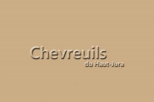 Chevreuils