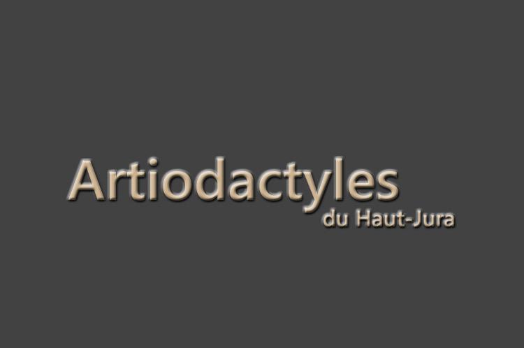 Artiodactyles