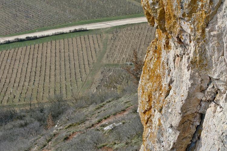 Sur la roche de Solutré : vue sur les vignobles