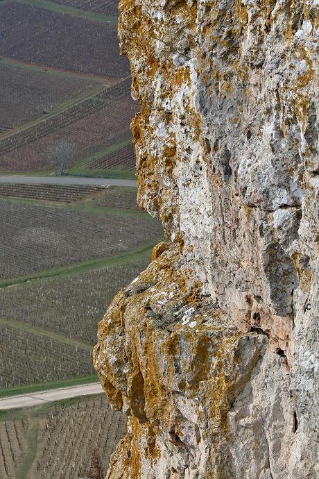 Sur la roche de Solutré : vue sur les vignobles